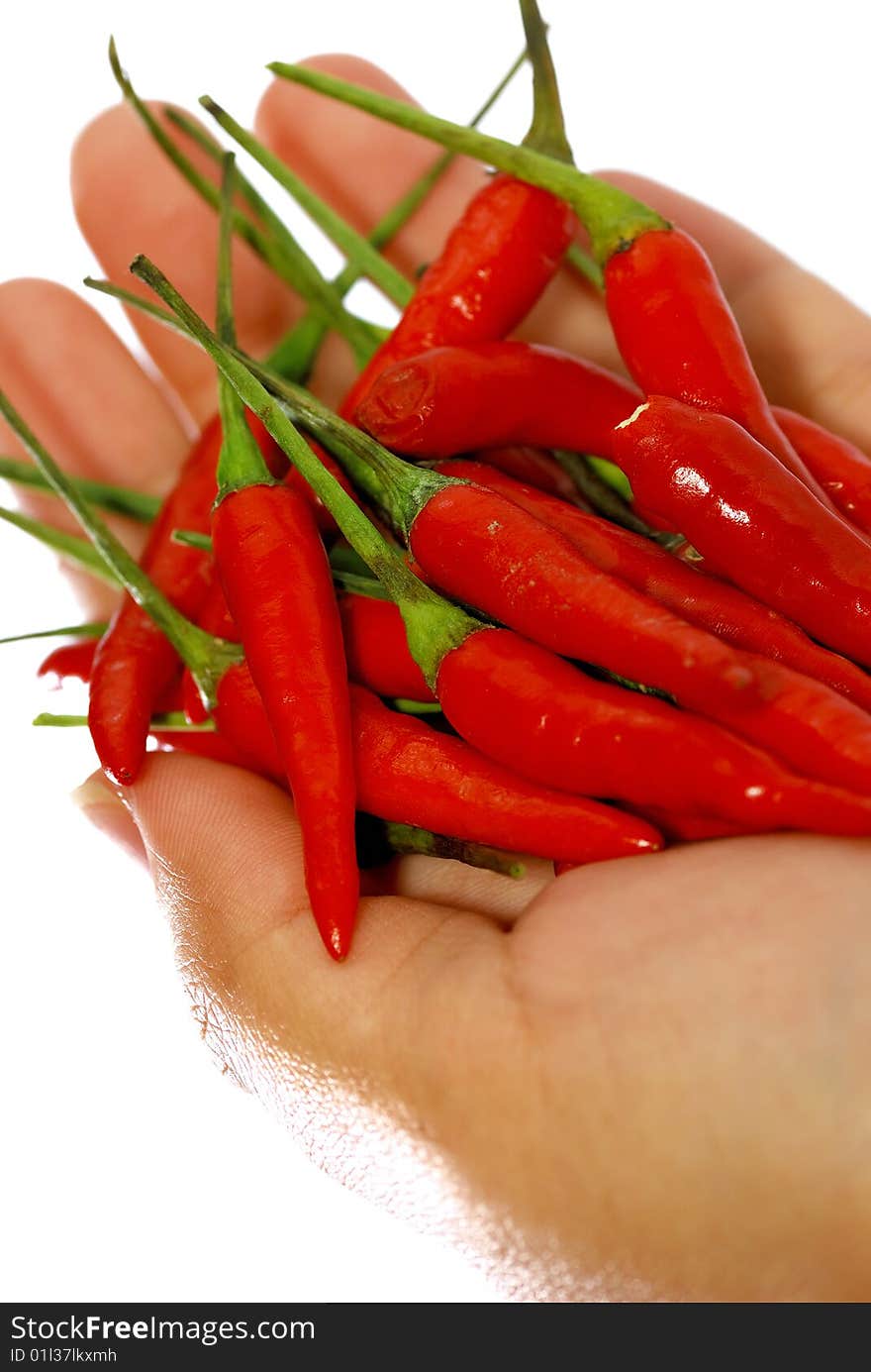 Close up capture on hand hold red spicy chili. Close up capture on hand hold red spicy chili