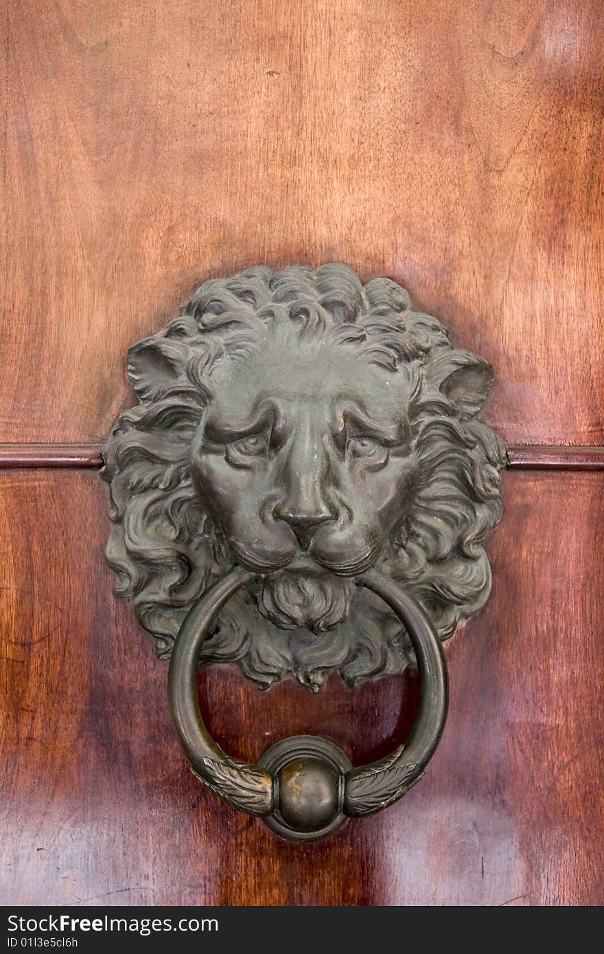 Lion Door-knock on a wooden door. Lion Door-knock on a wooden door