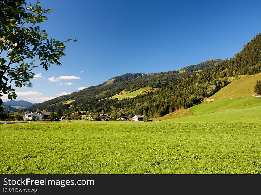 Alpine chalets and meadows