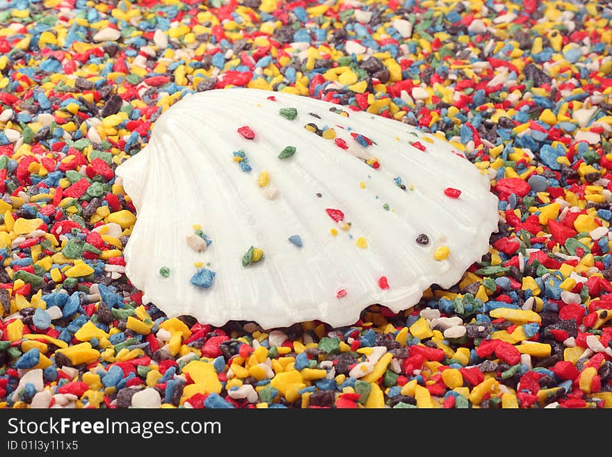 White sea-shell lying on colored rocks. White sea-shell lying on colored rocks