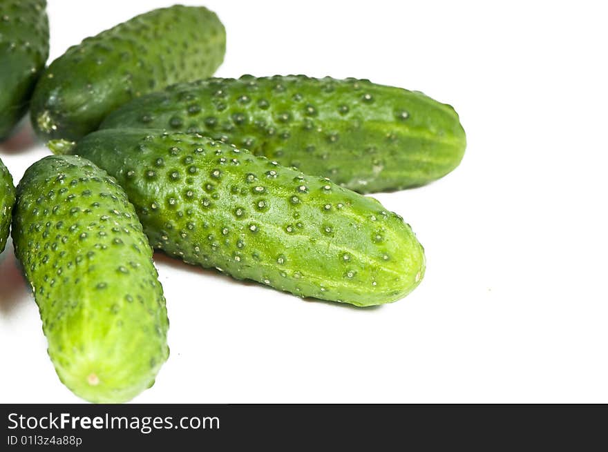 Green cucumber vegetable fruits isolated on white background