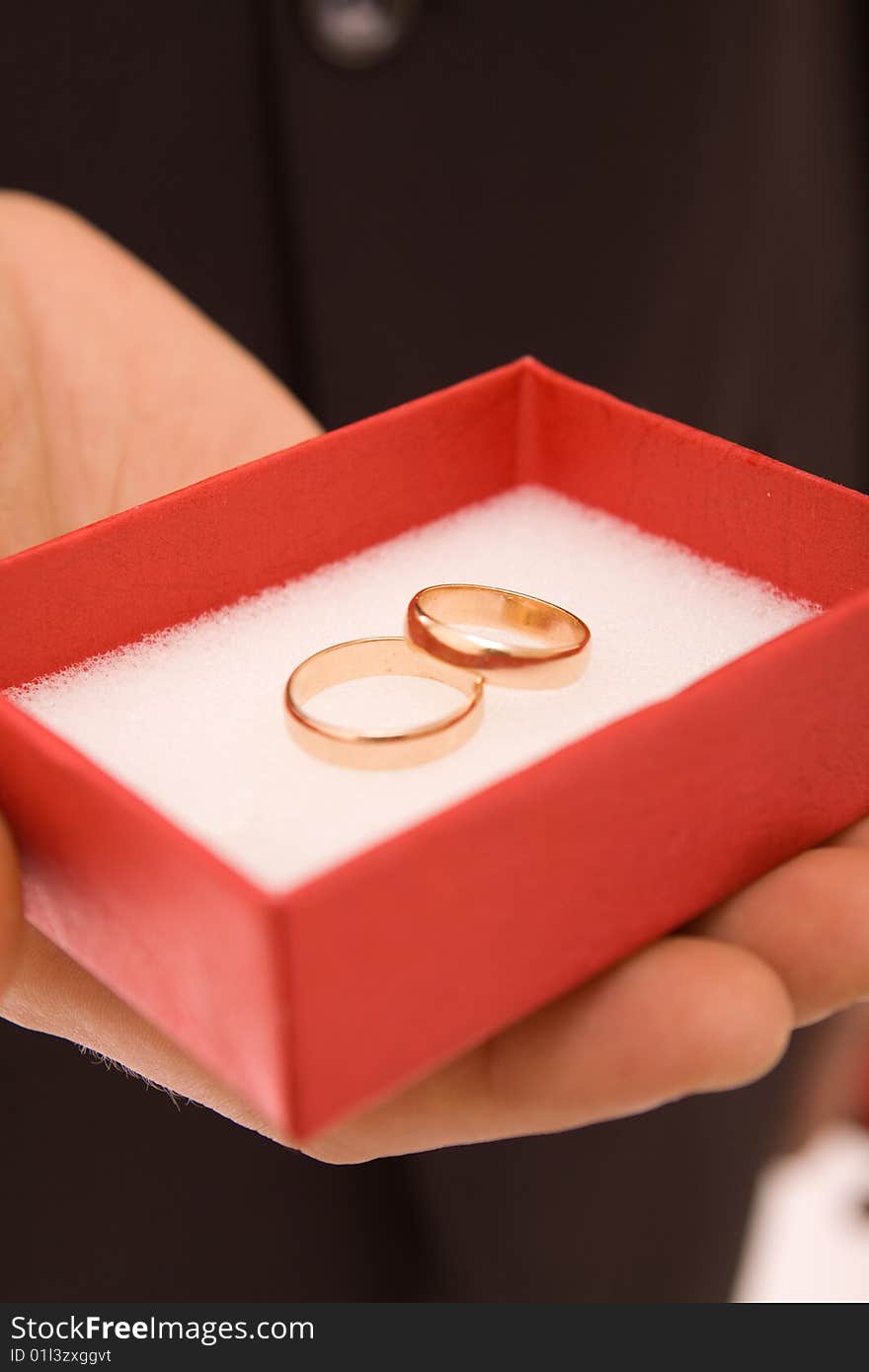 Rings on a white background. Rings on a white background