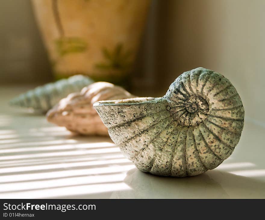 Crafted Seashell on a white ledge in a modern, luxurious Bathroom. Crafted Seashell on a white ledge in a modern, luxurious Bathroom.