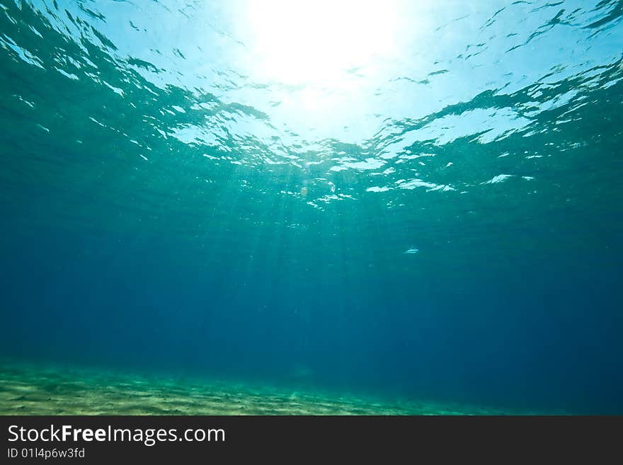 Ocean and sun taken in the red sea.