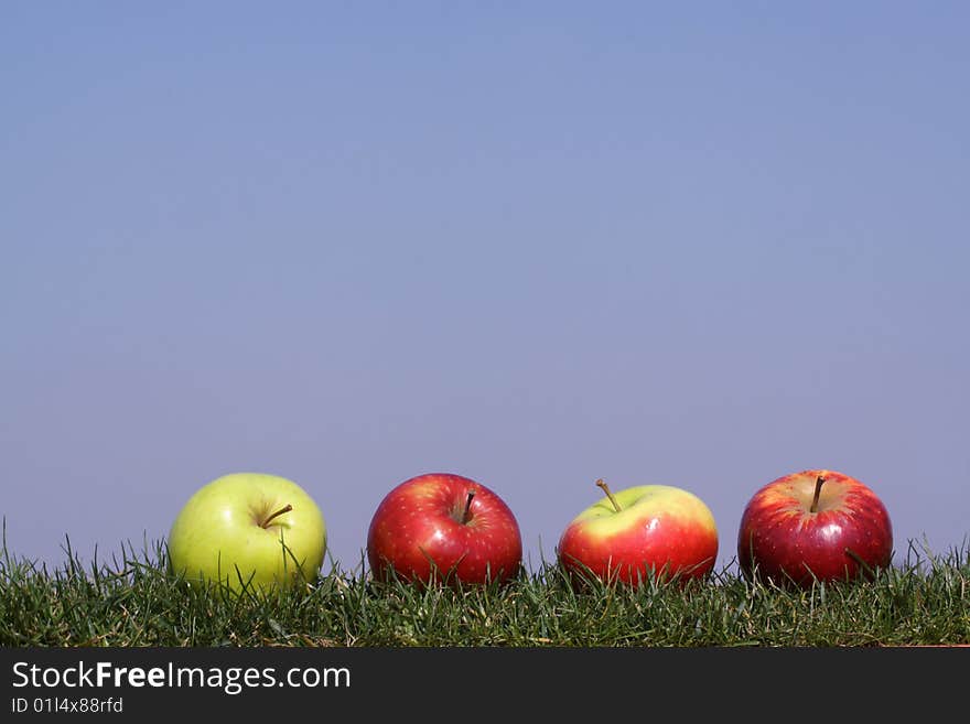 4 apples in grass against  a bright blue sky