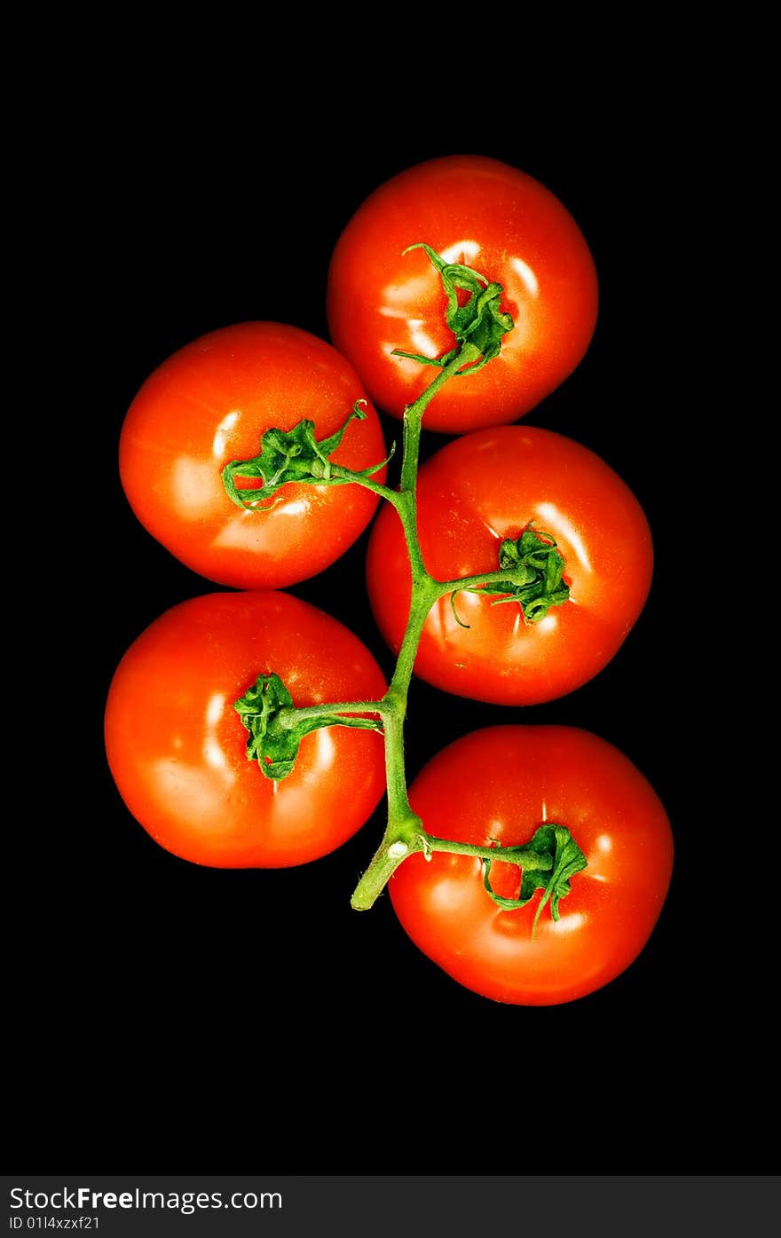 Bunch of five tomato on black background. Bunch of five tomato on black background