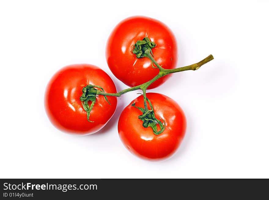 Bunch of three tomato on white background. Bunch of three tomato on white background