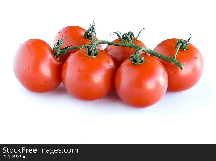 Juicy tomatoes with water droplets isolated on white