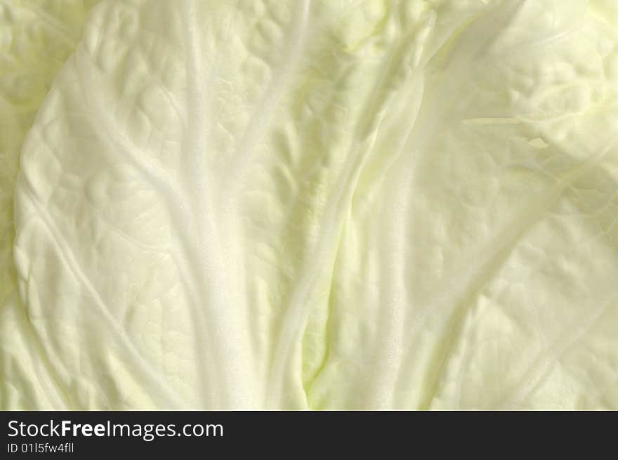 Leaf of celery cabbage, background.