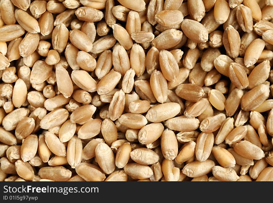 Wheat grains, background.