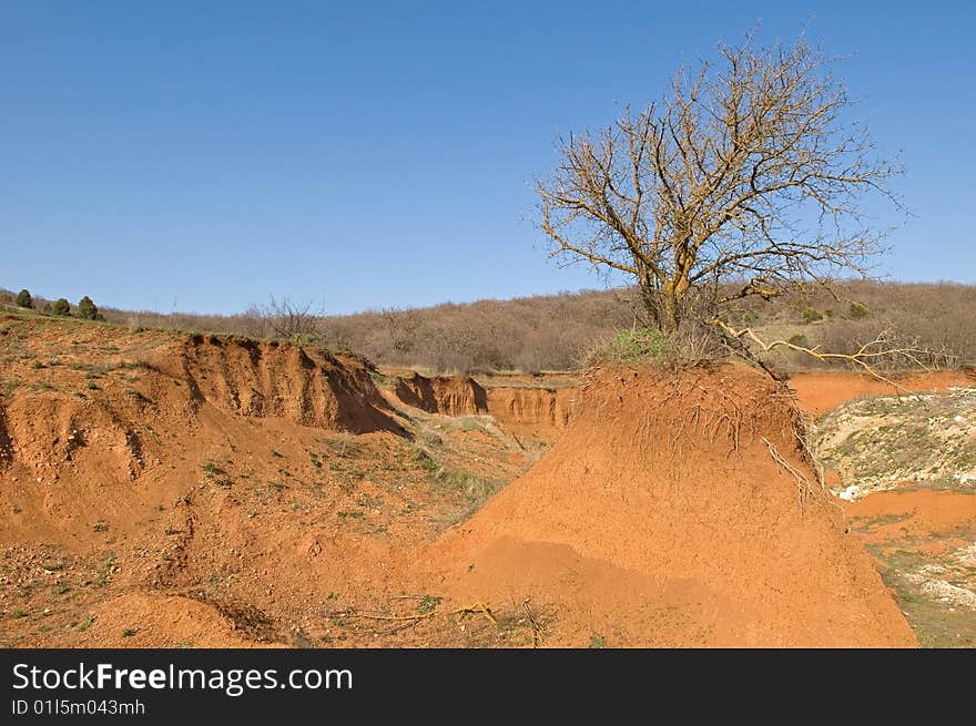 Flowering tree on isle from clay