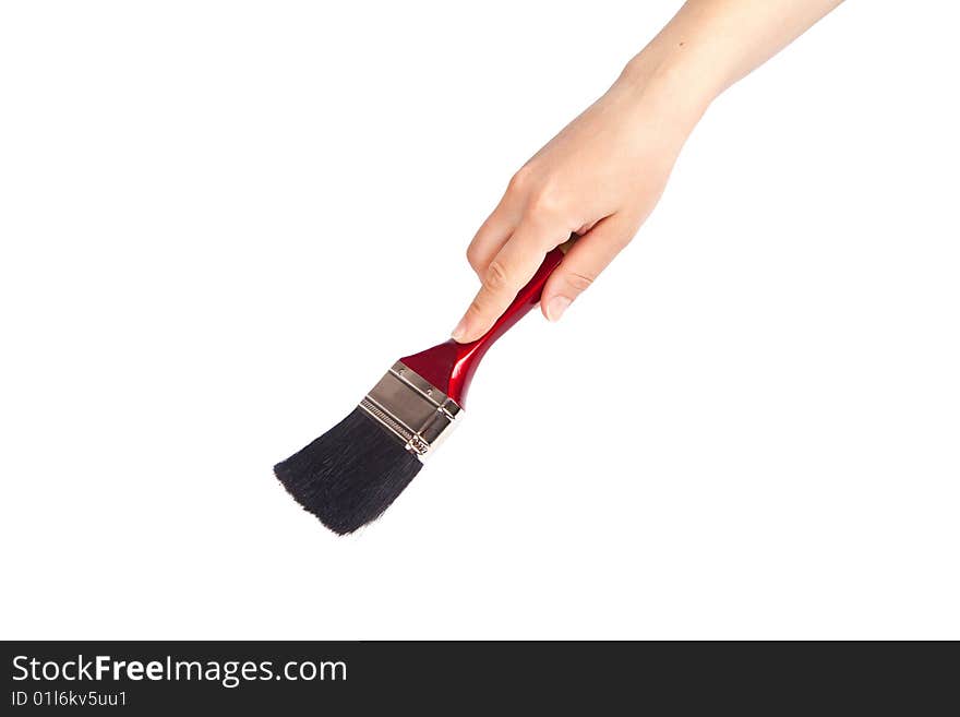 Women Hand Holding a paint brush