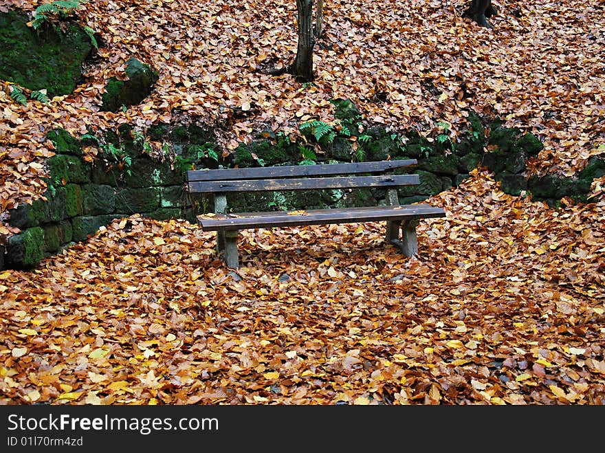 The park bench at Ceske Svycarsko national park.