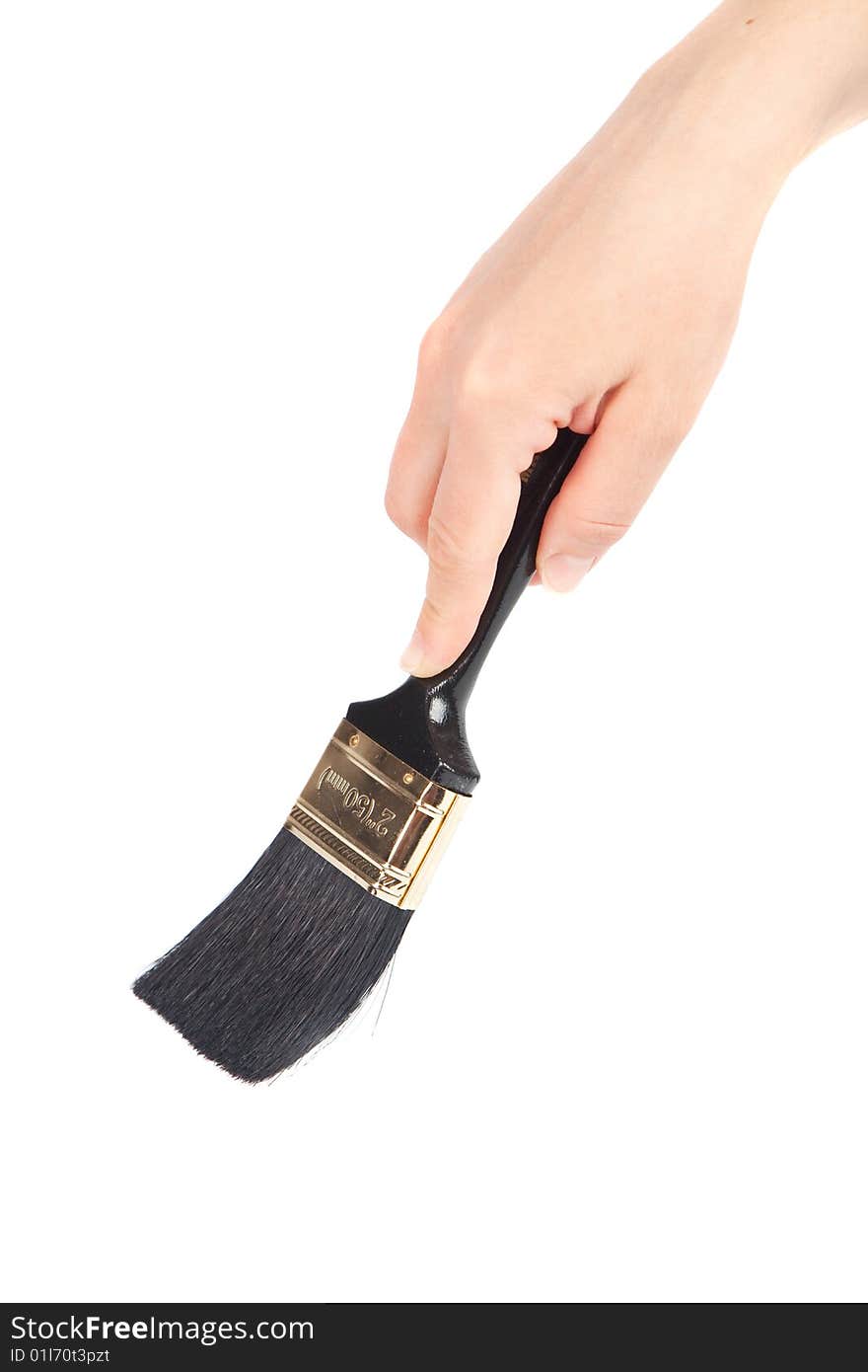 Women Hand Holding A Paint Brush