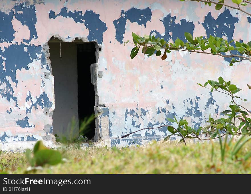 Nature is conquering back a left old house. Nature is conquering back a left old house