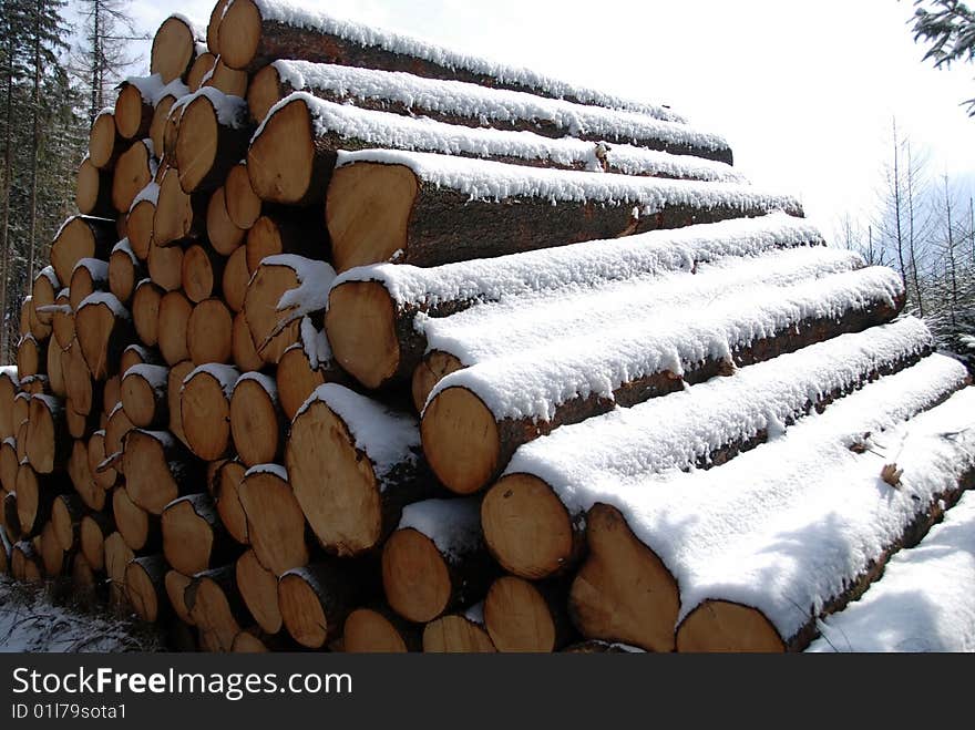 Logs of wood covered by snow in winter. Logs of wood covered by snow in winter