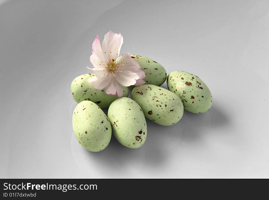 Single Cherry Blossom between Bird Eggs. Single Cherry Blossom between Bird Eggs