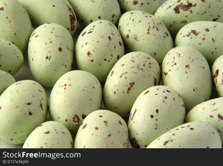 Ground covered by Eggs of Seagulls. Ground covered by Eggs of Seagulls