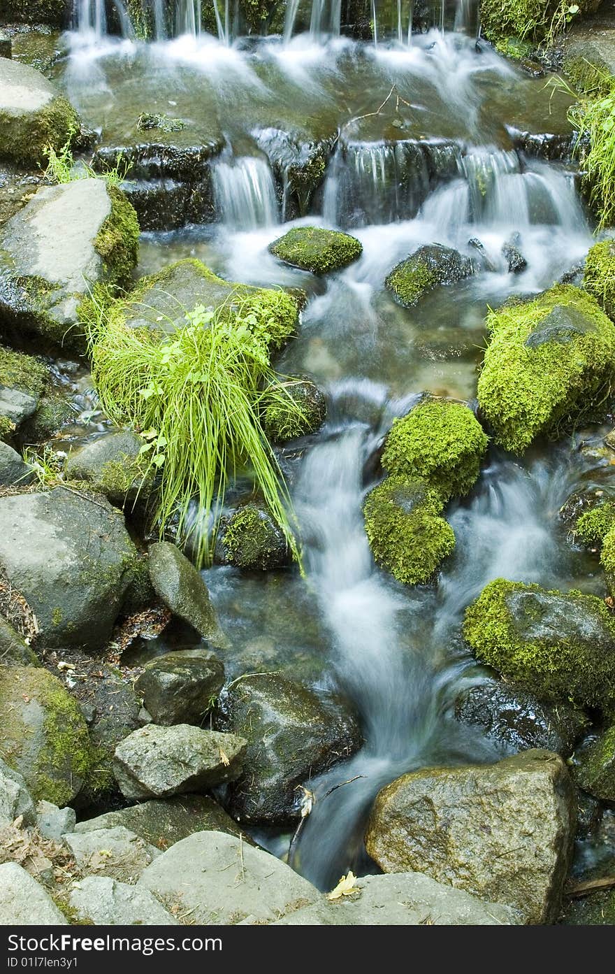 Milky water running out of small spring pond in Yosemite National Park. Milky water running out of small spring pond in Yosemite National Park