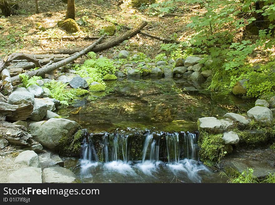 Milky water running out of small spring pond in Yosemite National Park. Milky water running out of small spring pond in Yosemite National Park