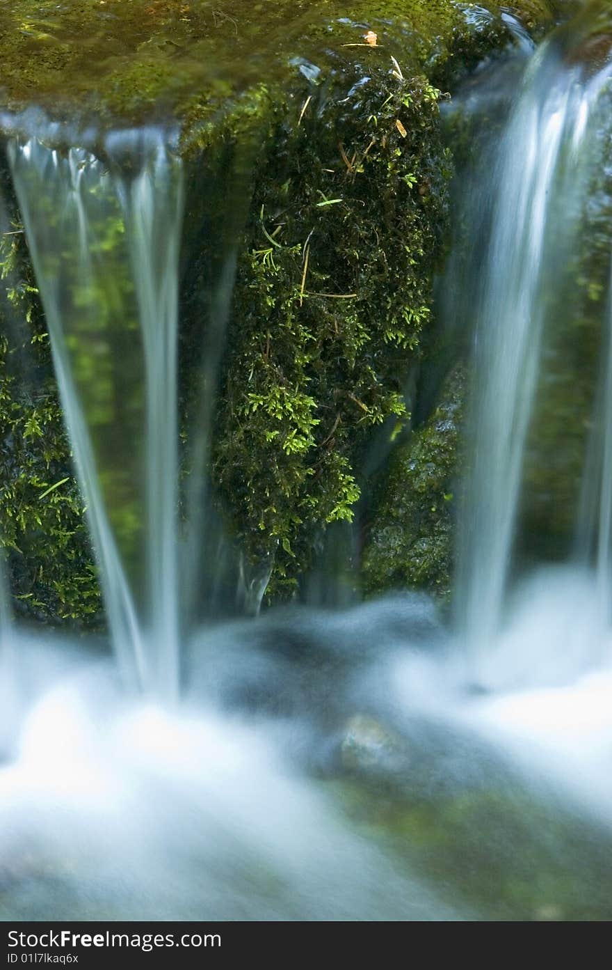 Milky water running out of small spring pond in Yosemite National Park. Milky water running out of small spring pond in Yosemite National Park