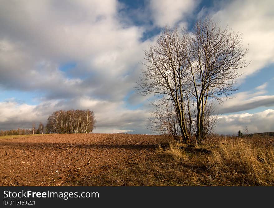 Rural Landscape