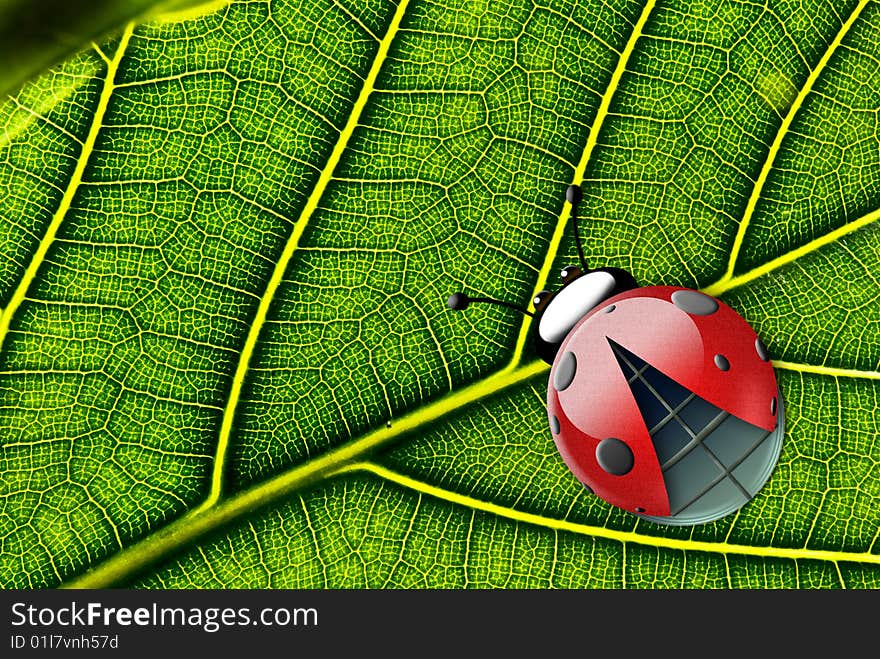 Illustrated ladybug against the green fresh leaf background