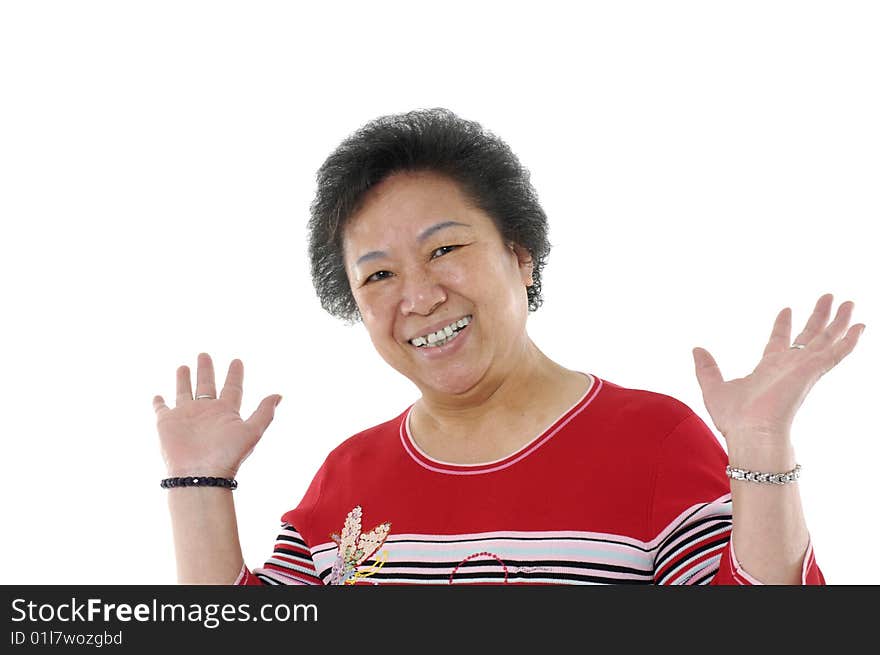 Portrait of a senior asian woman. Portrait of a senior asian woman