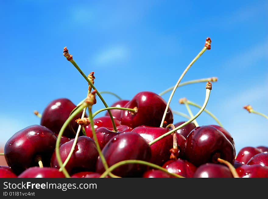 Wild Cherries