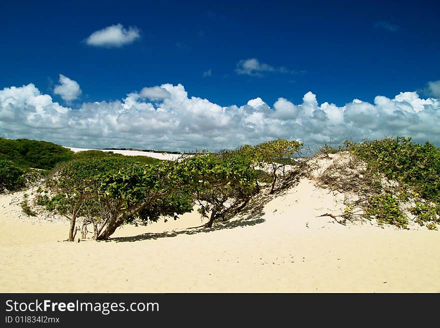 Unspoiled beautiful dunes of genipabu, Natal. brazil. Unspoiled beautiful dunes of genipabu, Natal. brazil