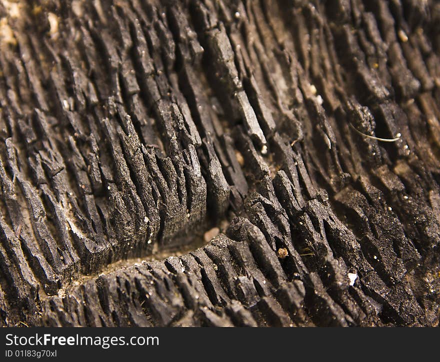 Structure of fired wood in black. Structure of fired wood in black