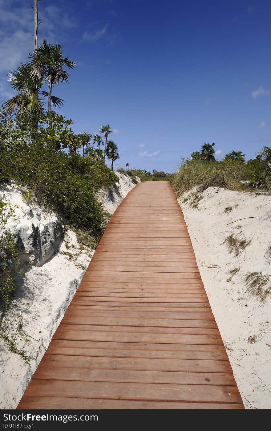 A view of wooden walkway going on tropical beach background. A view of wooden walkway going on tropical beach background