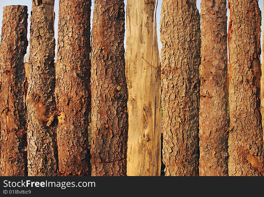 Wood Fence