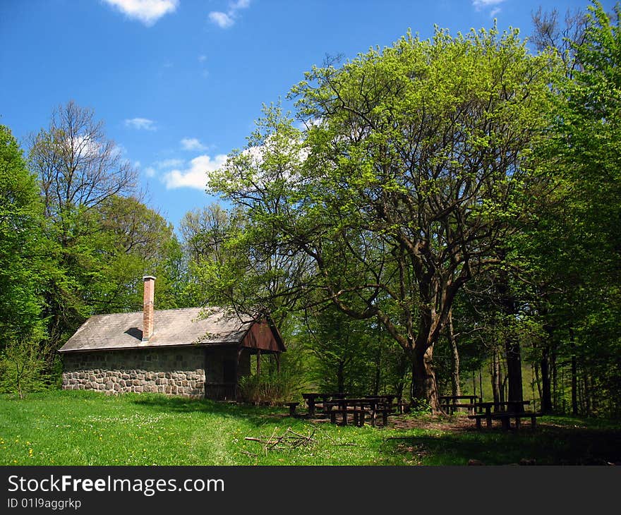 Mountain hut in forest