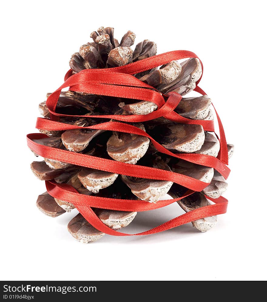 Pine-cone with ribbon threaded on a white background. Pine-cone with ribbon threaded on a white background