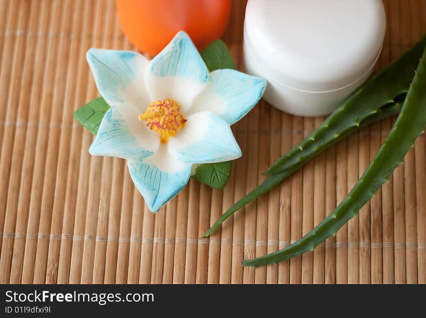 Bath still life: shampoo, a jar of cream and aloe twigs against the backdrop of bamboo mats.