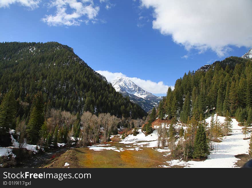 Rocky Mountain Spring