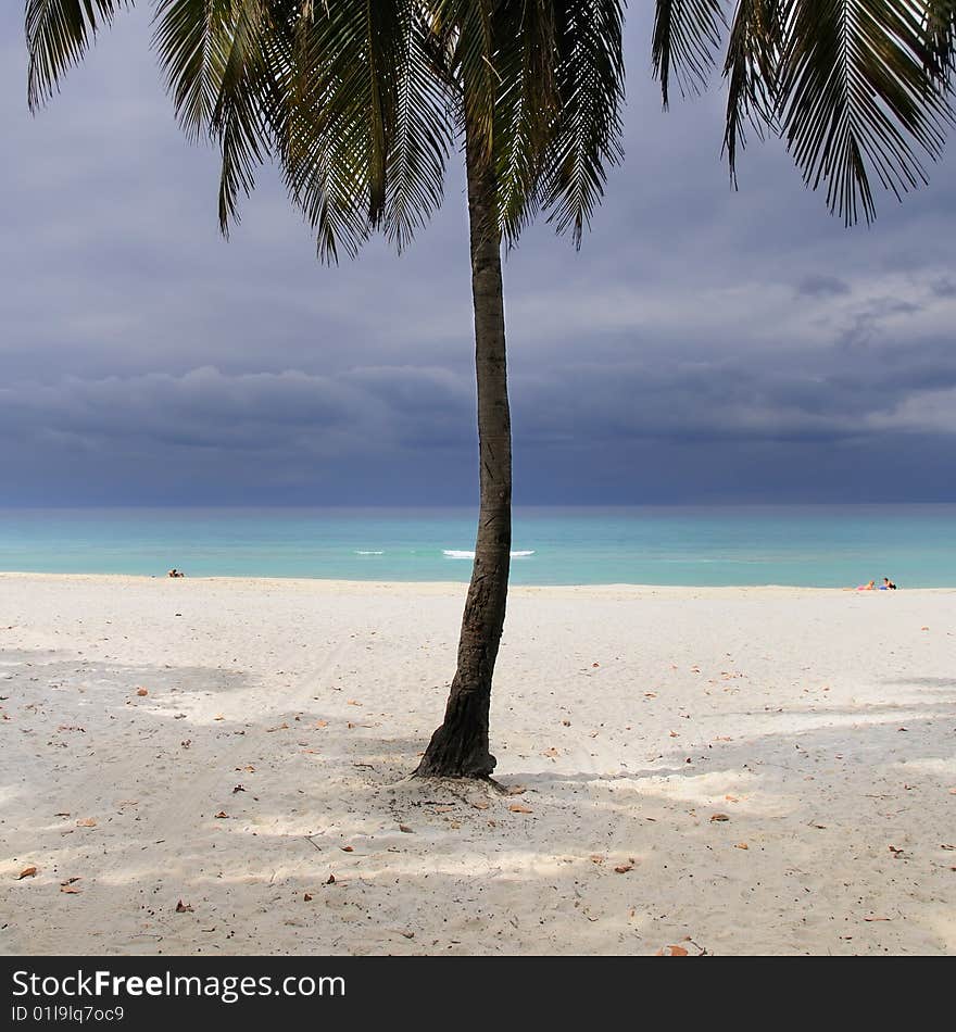 Stormy beach