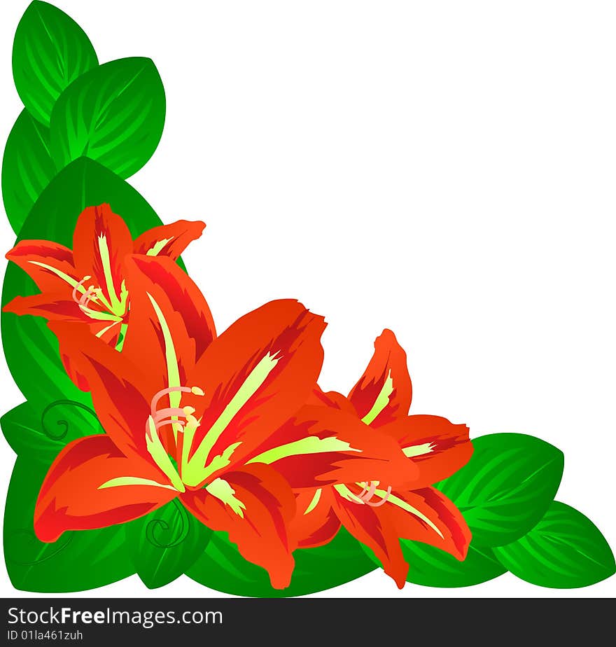 Red flowers with green leafs isolated over white