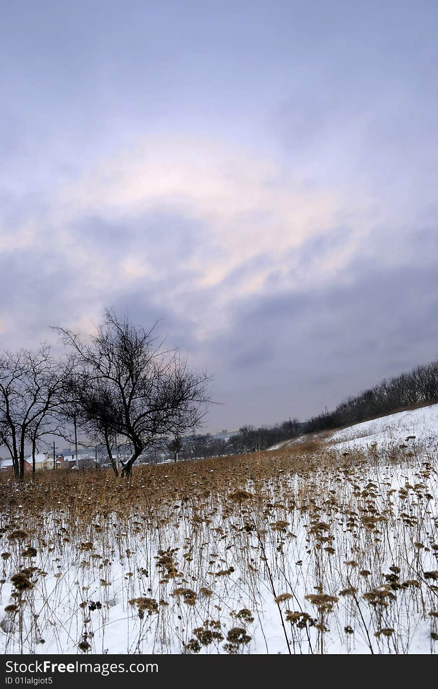 Winter landscape. Tree and snow. Winter landscape. Tree and snow.