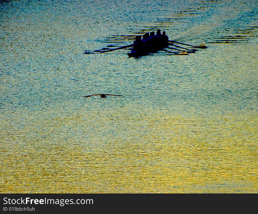 A beautiful image of rowers on the Arno river at sunset. A beautiful image of rowers on the Arno river at sunset