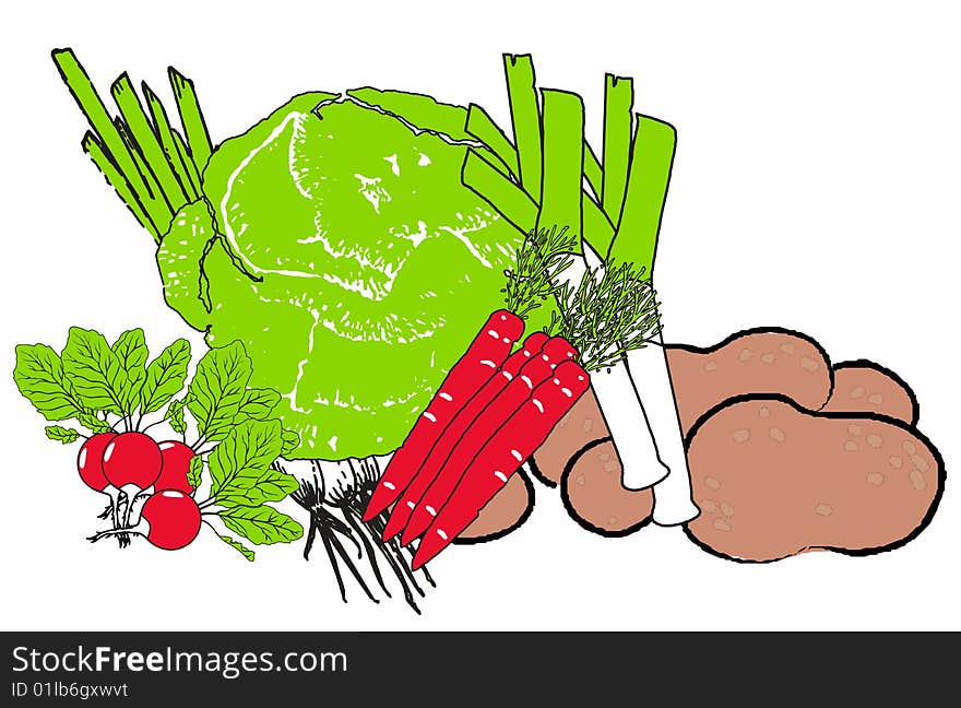 Vegetables on a white background