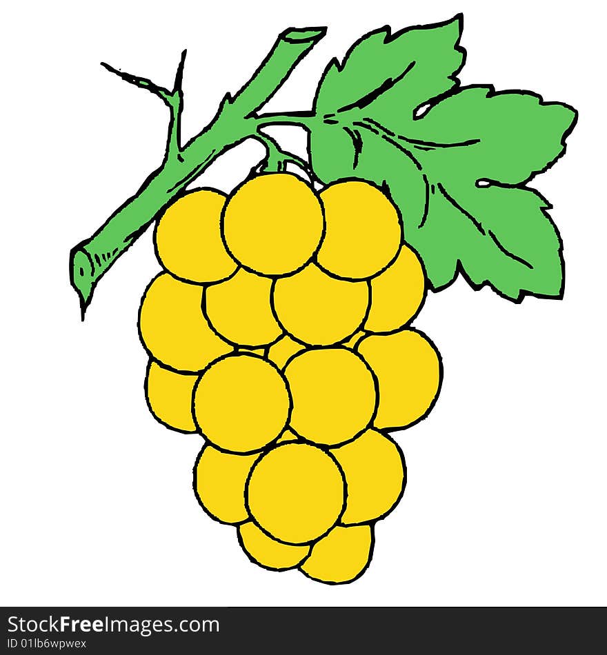 Illustration of grapes