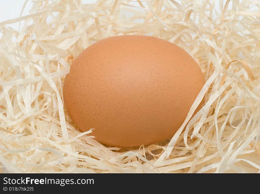 Egg in a nest close up.