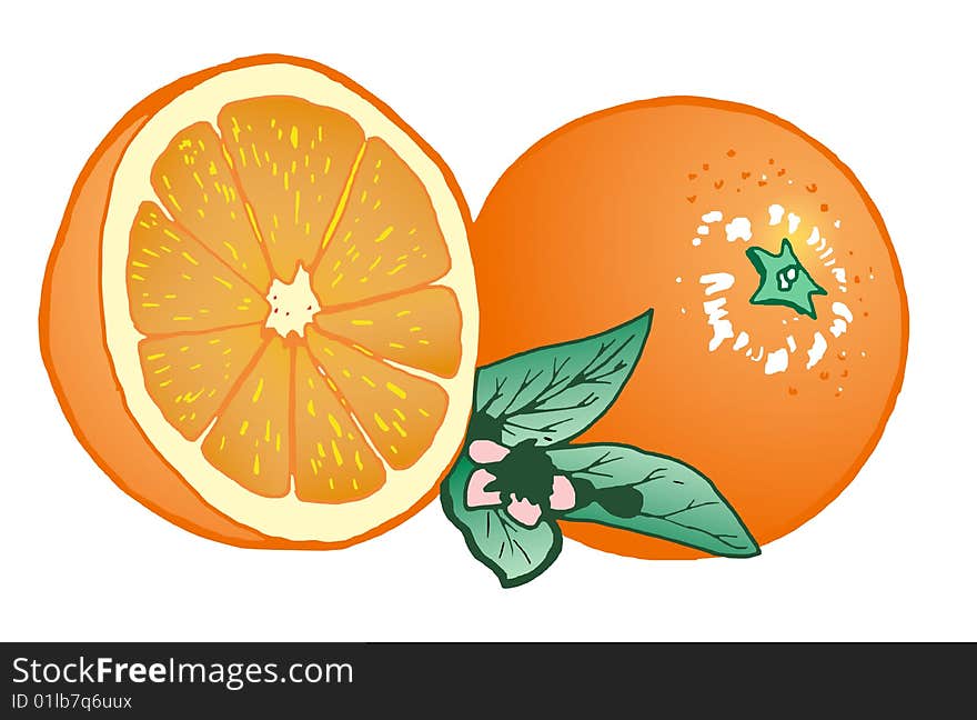 Composition of oranges