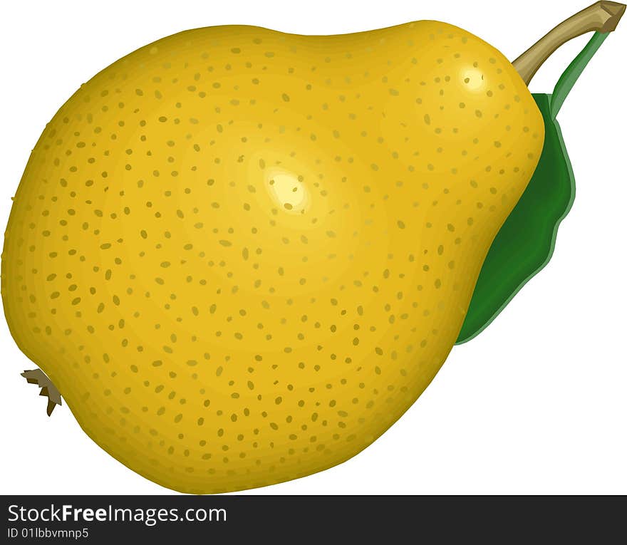 Illustration Of A Pear