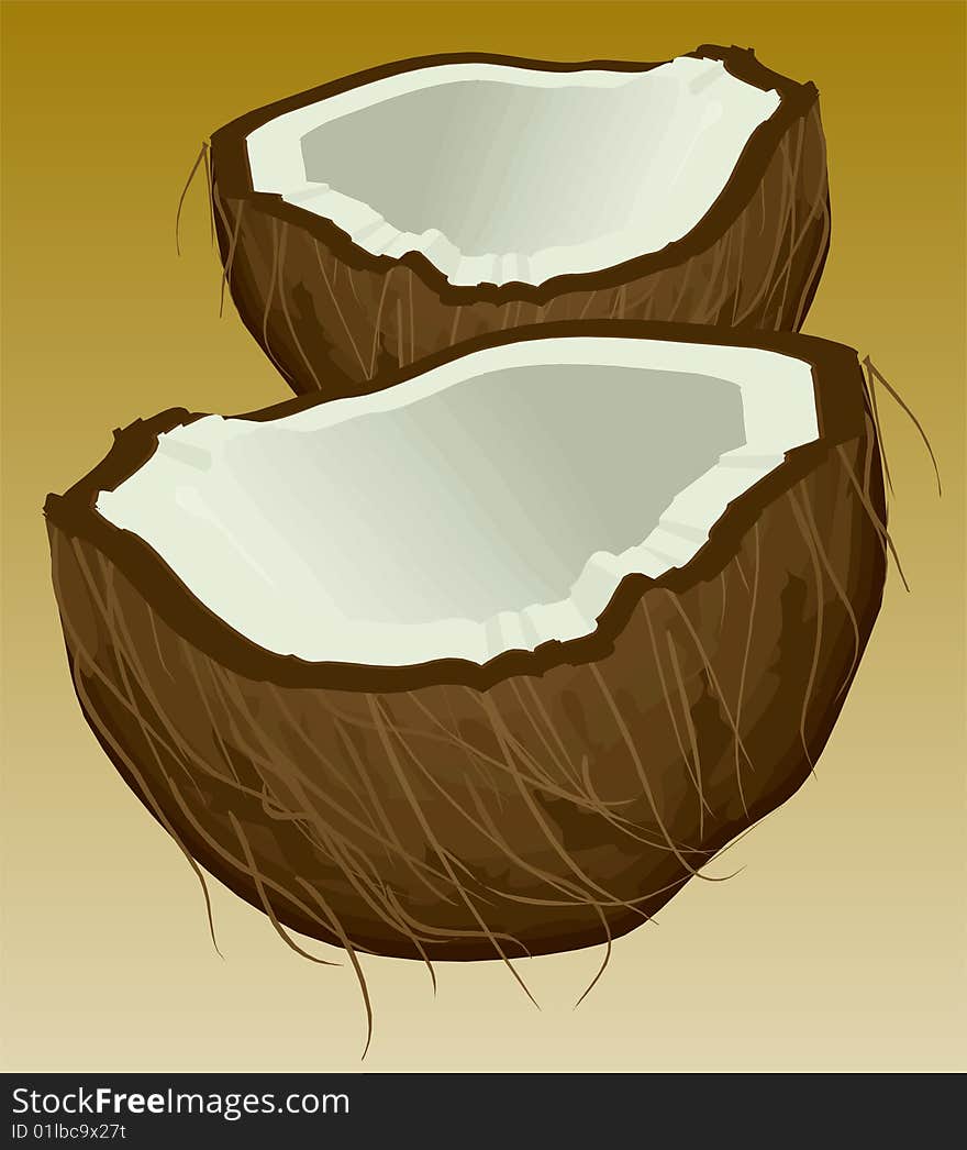 Illustration of a coconut on a brown background