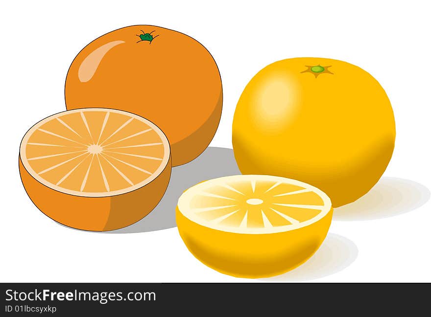 composition of oranges on a white