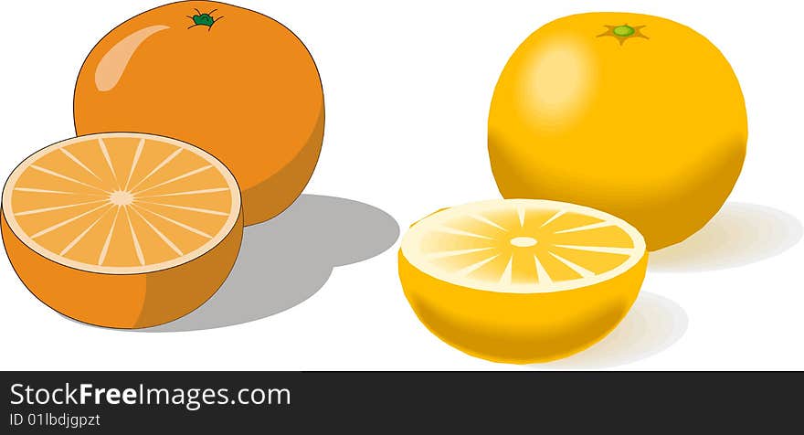 Still Life On A Composition Of Oranges