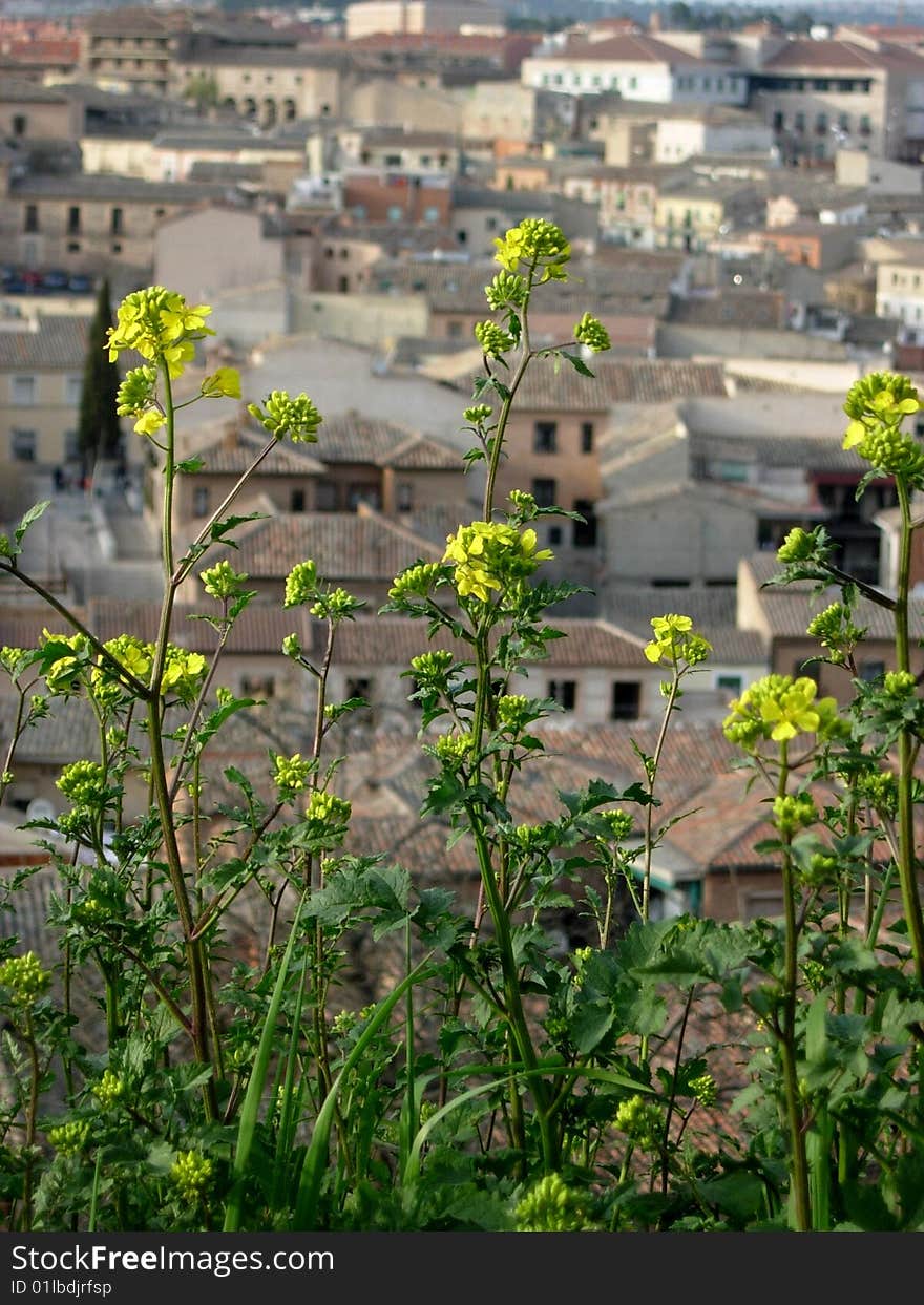 Toledo (Spain) roofline with flowers